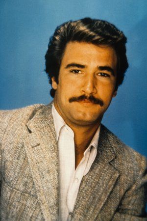 Lee Horsley in the 80s
