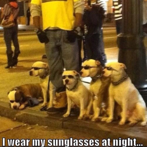 80s-memes-sunglasses-at-night