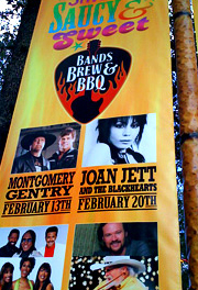 Joan Jett and the Blackhearts - concert poster