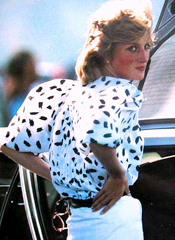 Princess Di Fashions