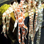 Patterned Shoelaces – My Saving Grace