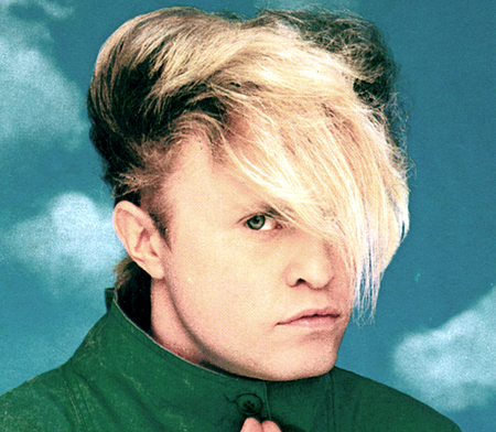 Flock Of Seagulls Hair