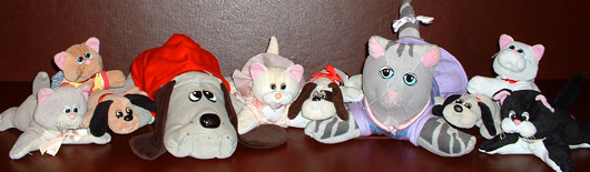 Pound Puppies and Pound Purries