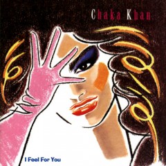 I Feel For You, Chaka Khan Music Video