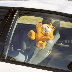 Garfield car accessory