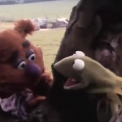 Fozzie Bear And Kermit Ad-Libbing During ‘Muppet Movie’ Shoot Is Absolutely Brilliant