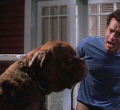 12 Reasons Why Turner And Hooch Is So Funny With Quiz