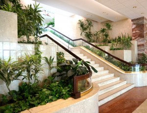 Lush-lobby-plants-002