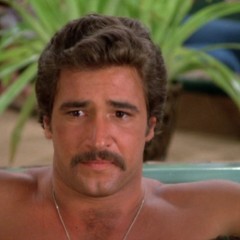 Then & Now: Lee Horsley