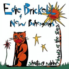 What I Am, Edie Brickell and the New Bohemians Music Video