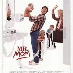 My Hero: Mr. Mom