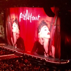 It Happened – I Went to the Madonna Concert