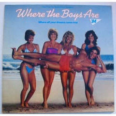 “Remembering an 80s Movie Nobody Remembers: Where the Boys Are 84”