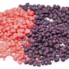 80’s Candy Treats You Can Still Taste Today